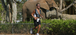 Miami Half Iron Triathlon - Integrity Multisport, Home, Miami Man Triathlon